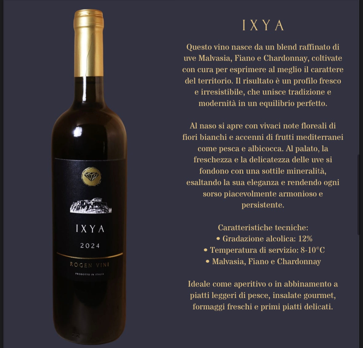 Ixya 2024